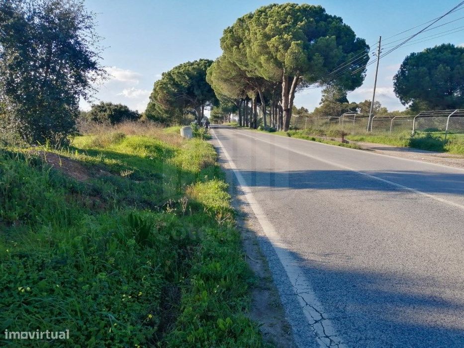 Terreno Zona Industrial