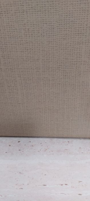 Smycz dla Azora i szelki