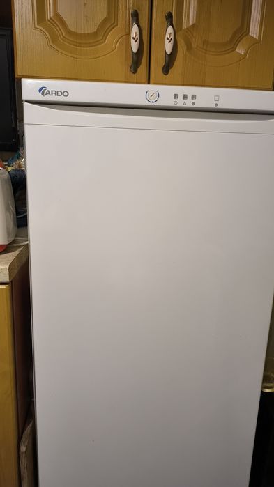 Морозильна камера ARDO FR20SB