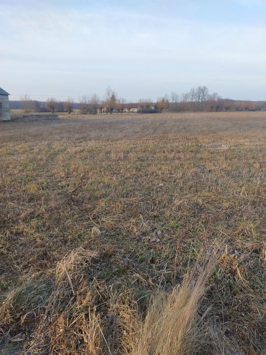 sprzedam ziemię rolną