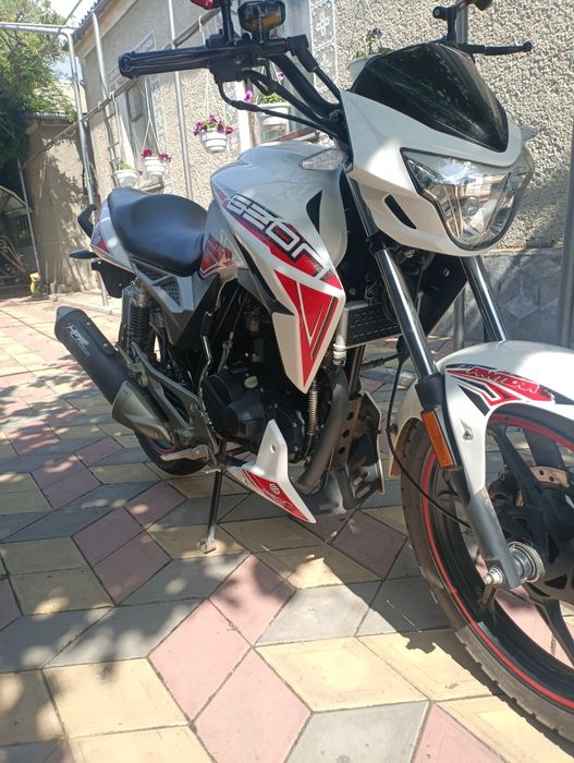 Geon pantera 250 (2024 року)