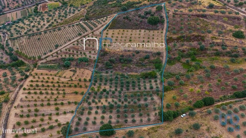 Terreno em Poço do Canto de 11872,00 m2
