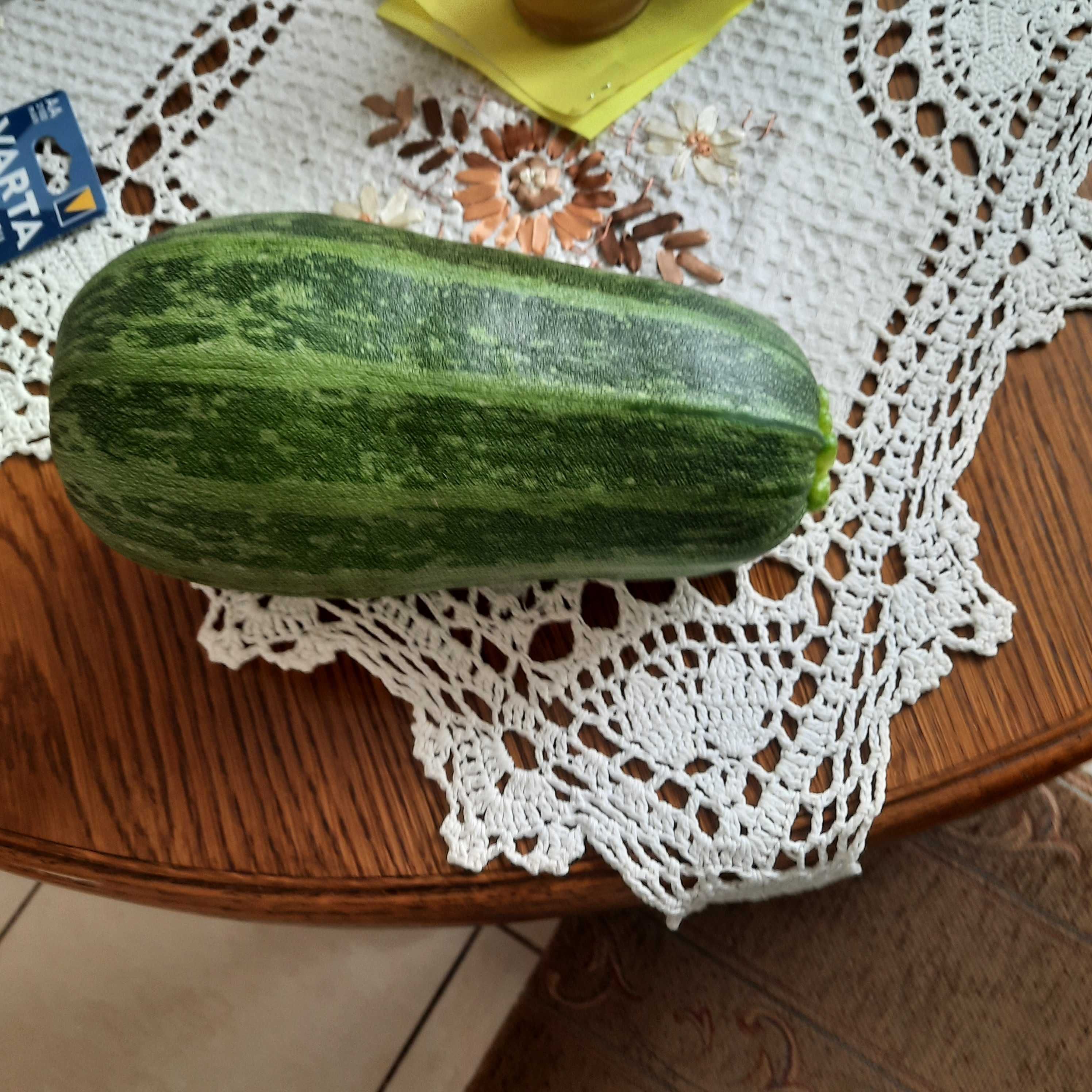 Nasiona cukinii, różne. Cena do negocjacji.