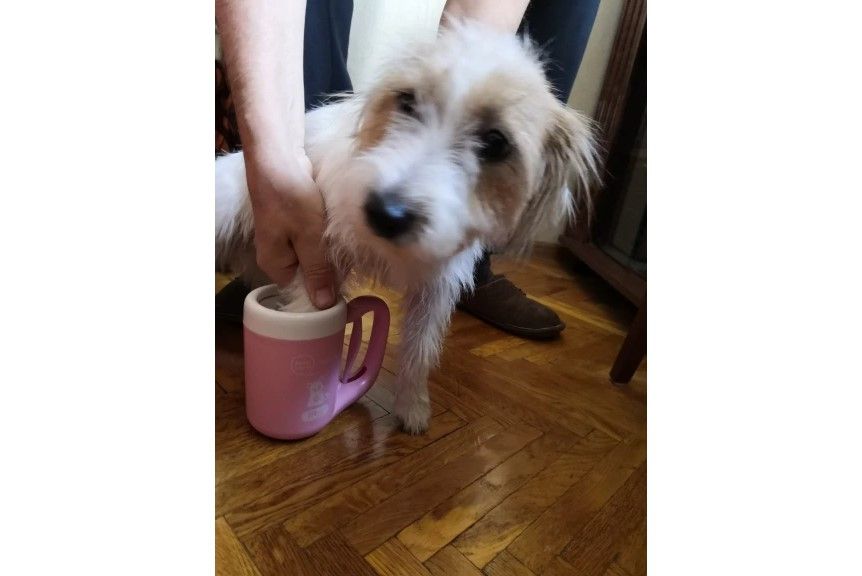 Caneca giratória que lava patas para Cão de pequeno porte ou gato
