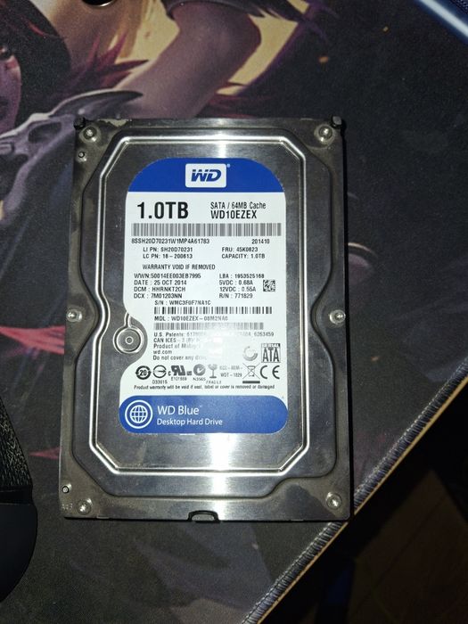 Dysk twardy WD Blue 1TB 3.5" SATA