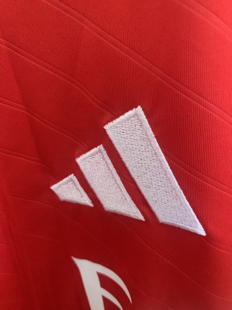 Camisola Principal Benfica Pavlidis 2024/25