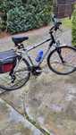 Rower trekkingowy   Pegasus Solero SL  28"