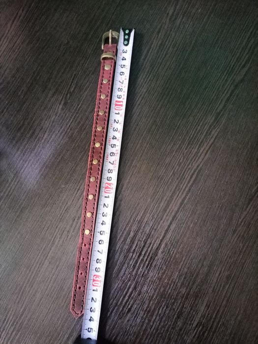 Ошийник для собаки