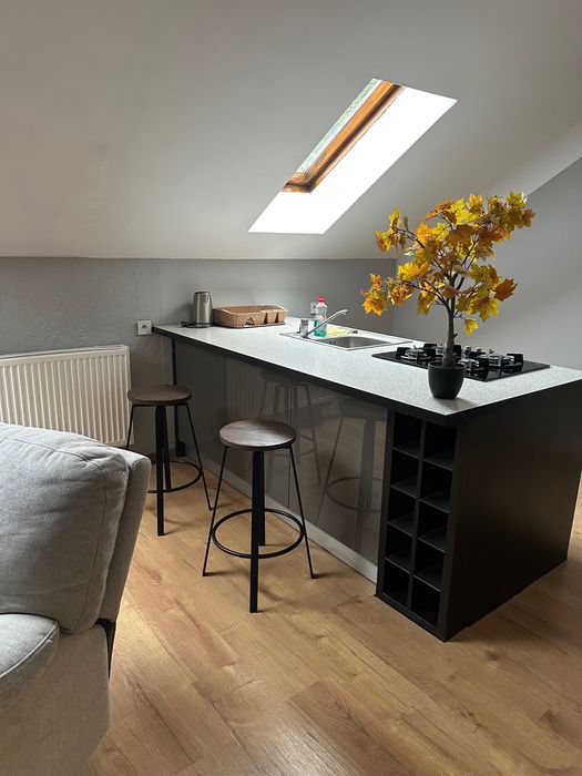 Do wynajęcia przytulne mieszkanie w domu jednorodzinnym