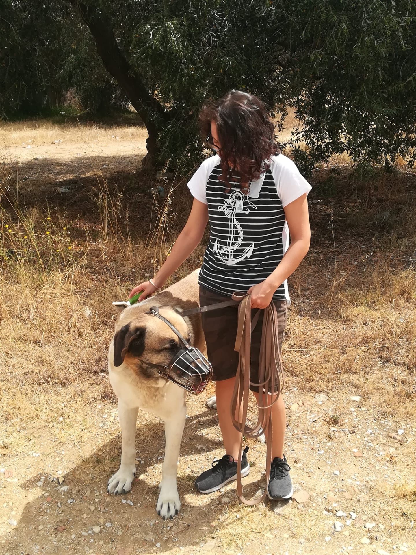 Dog walking/Pet Sitting