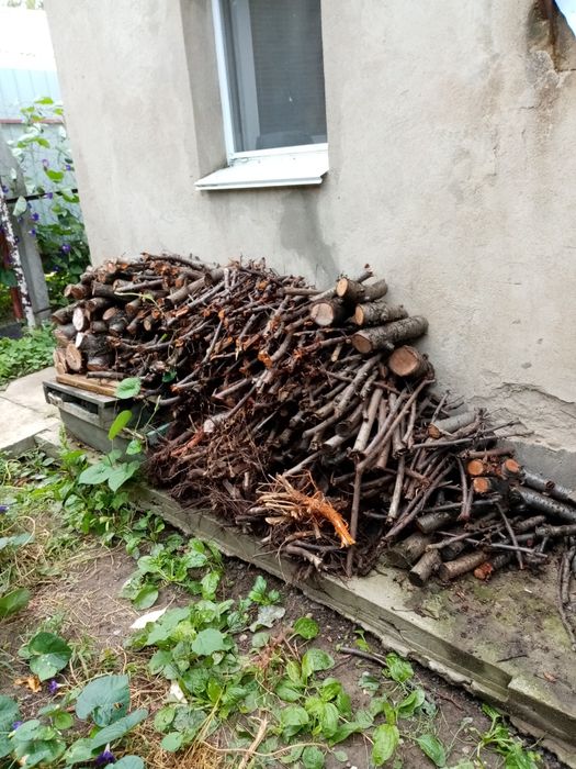 Продам ветки и дрова фруктовых деревьев