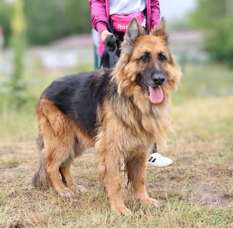spokojna seniorka czeka na dom