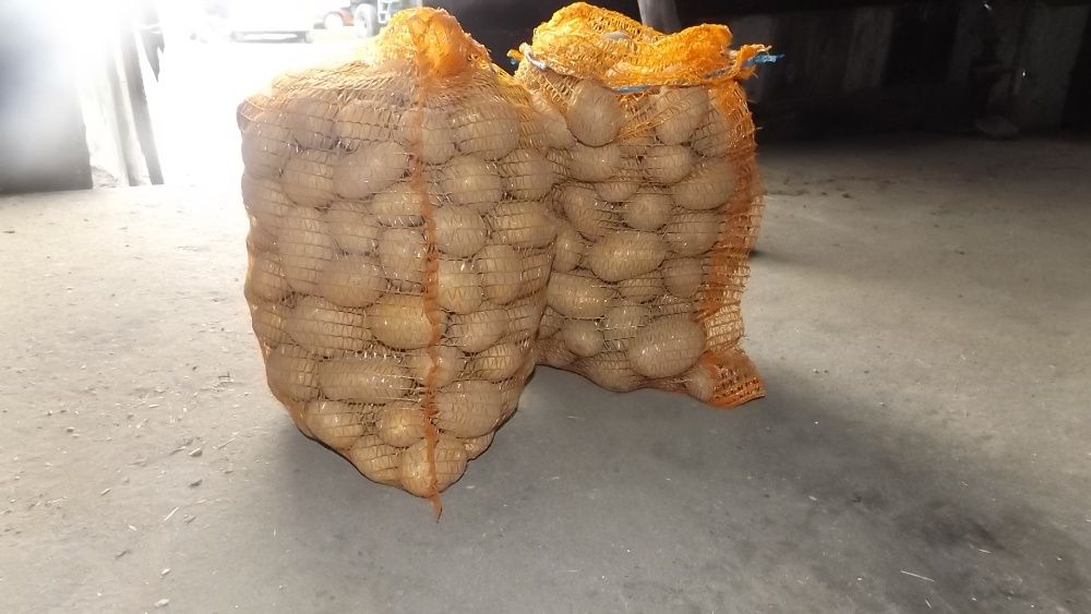 ziemniaki jadalne z dowozem na terenie miasta Złotów