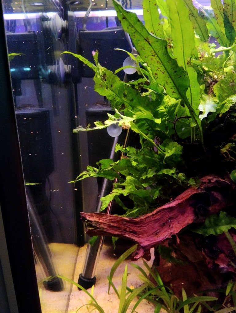 Akwarium 200l cały zestaw