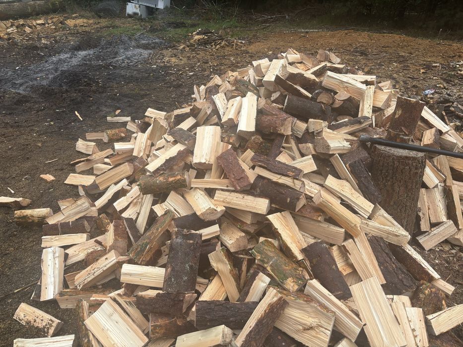 Drewno opałowe/kominkowe Transpotr Gratis
