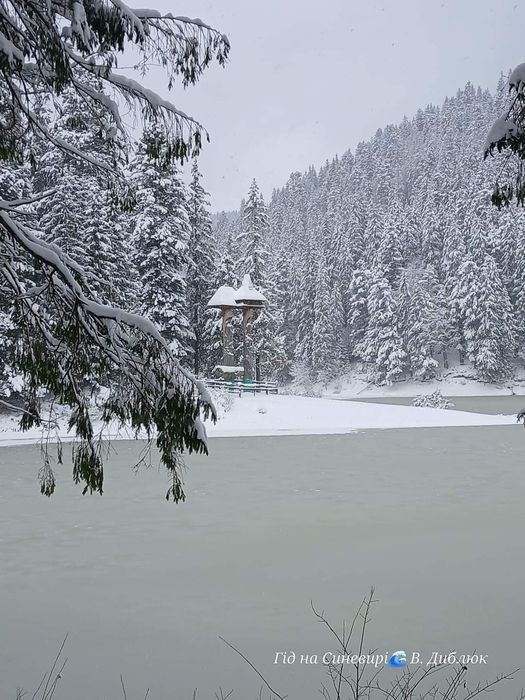 Відпочинок в Карпатах Здам кімнату приватний сектор оренда подобово