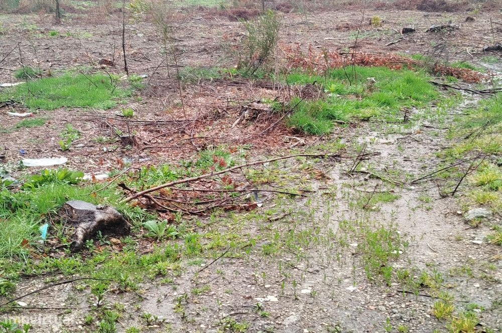 Terreno Urbanizável – O Local Perfeito para Construir a Sua Moradi...