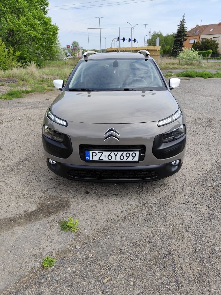 Citroen C4 Cactus wersja limitowana Rip Curl