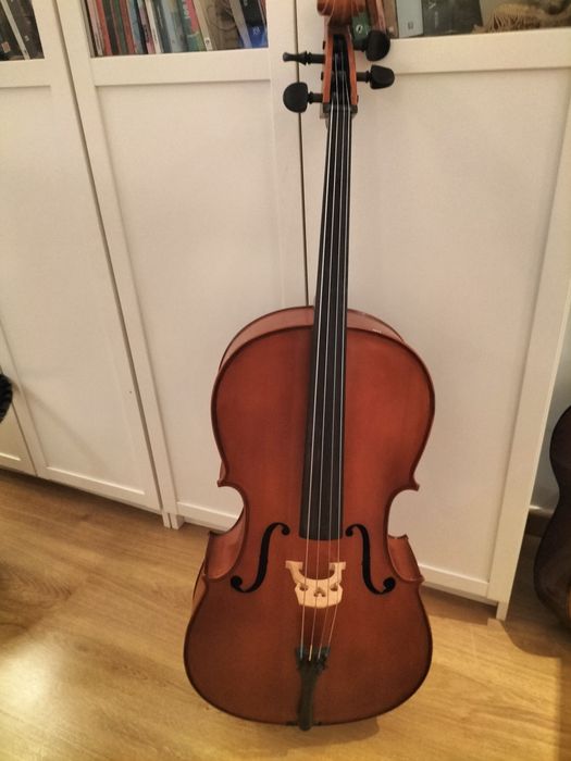 Violoncelo 3/4 Stentor 2
