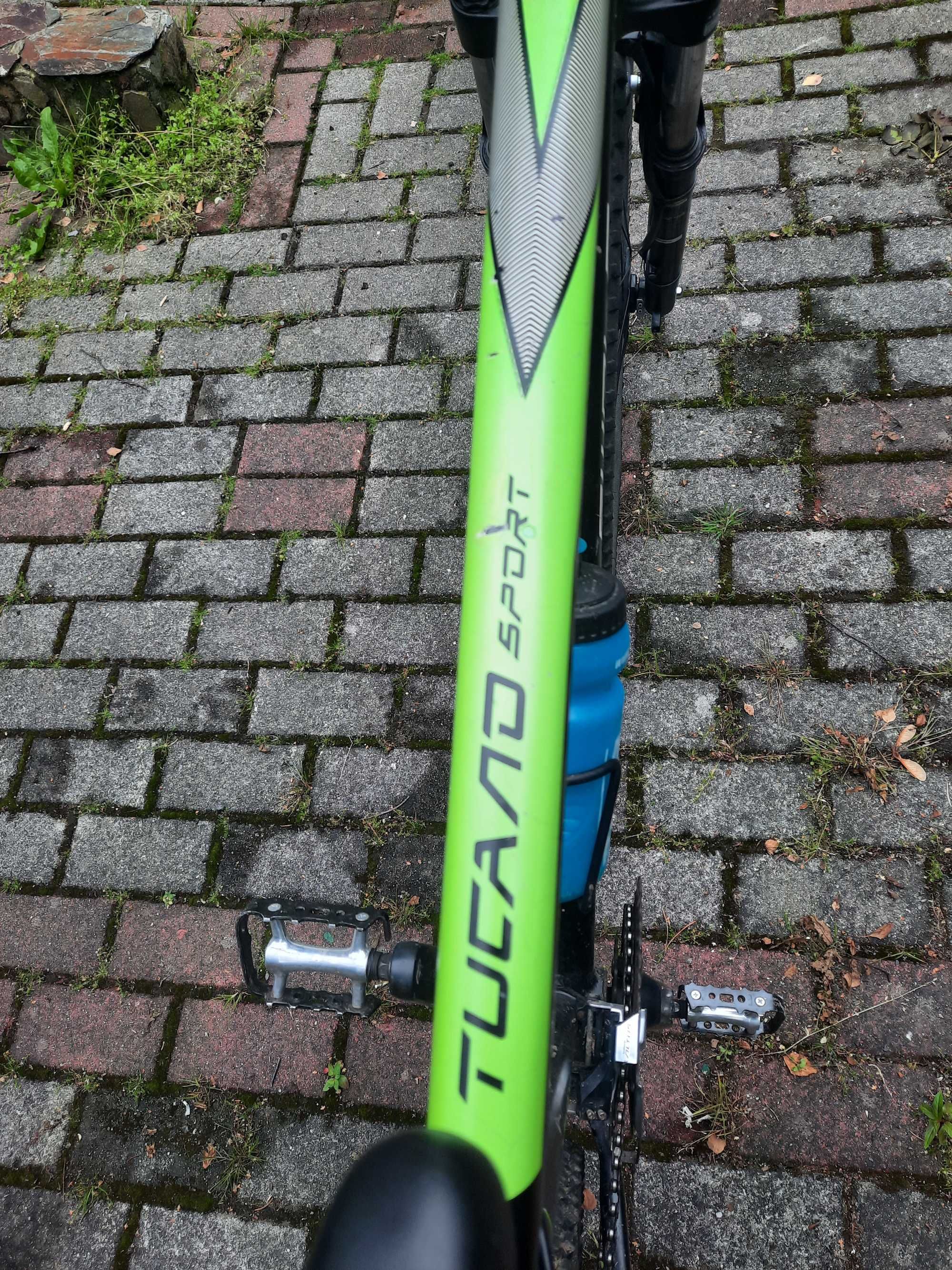 Rower MTB Cycle Wolf