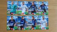 komplet ekstraklasa 2013 karty 2014 zawisza bydgoszcz panini