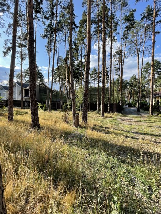 ділянка 8 соток в Лісовій Бучі