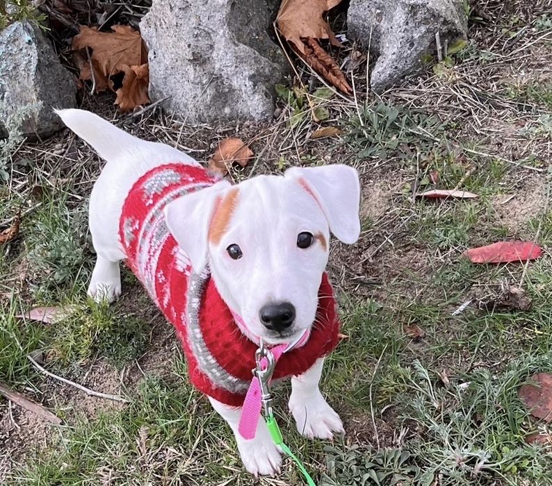 Самая красивая девочка может стать Вашей