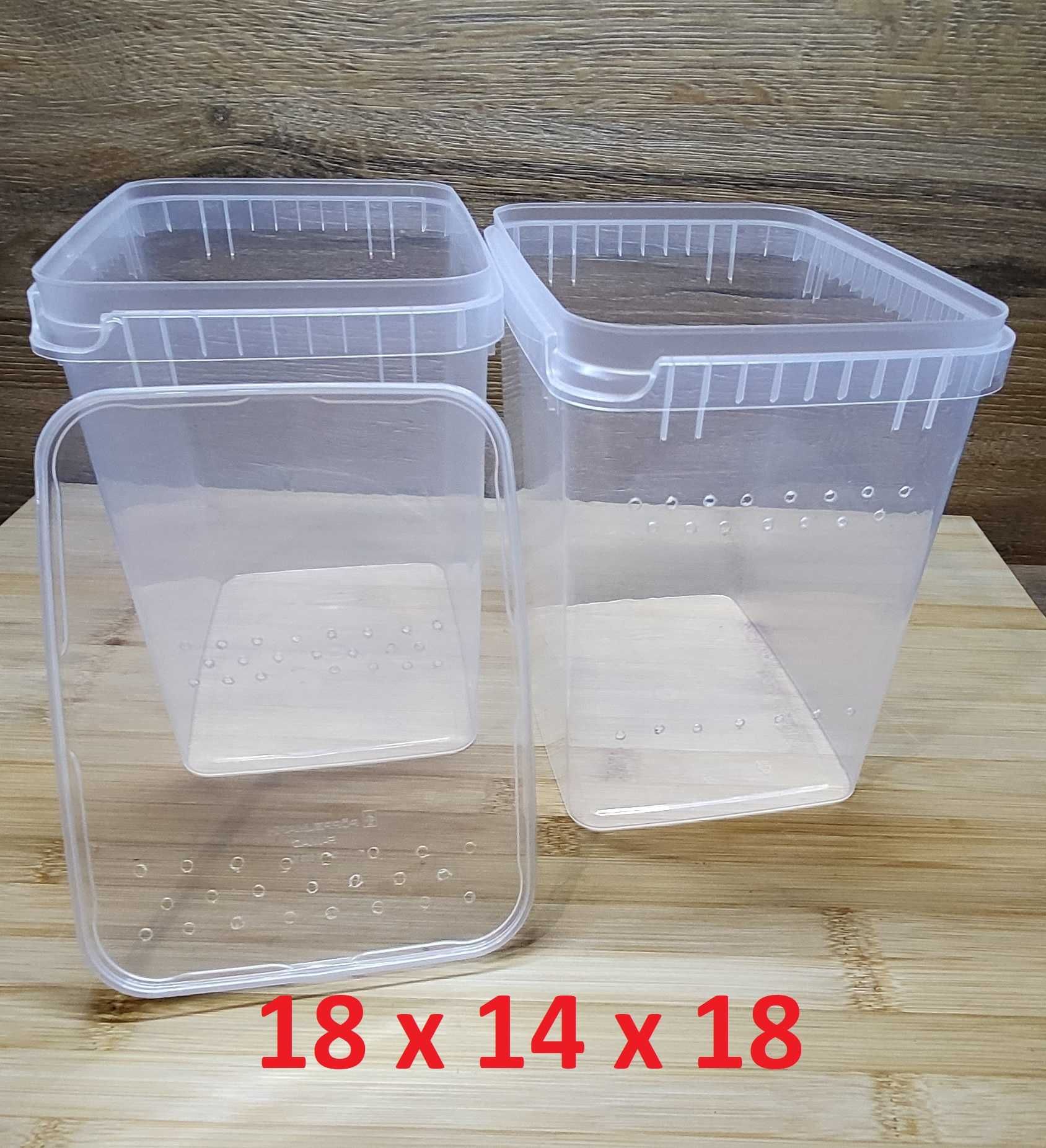 Pojemnik plastikowy BRAPLAST 18 x 14 x 18 dla ptasznika Avi 5 szt