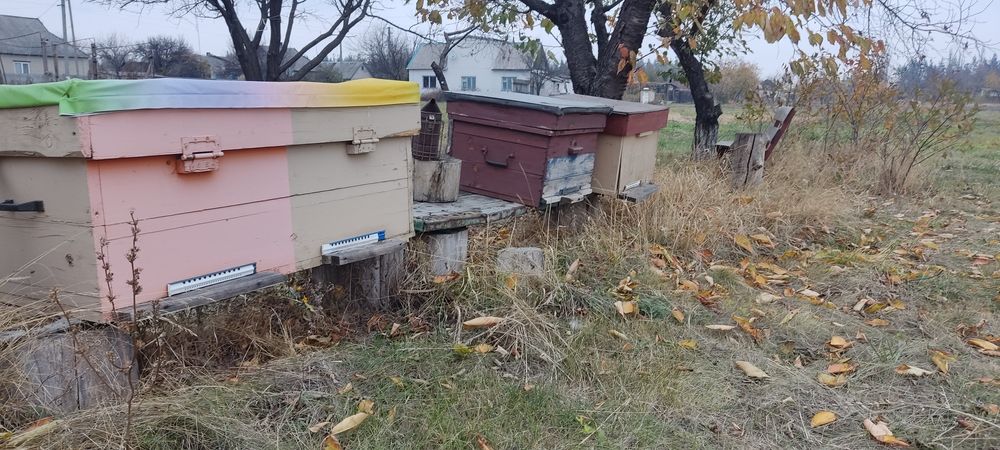 Улики, улья, вулики, корпуса для пчёл