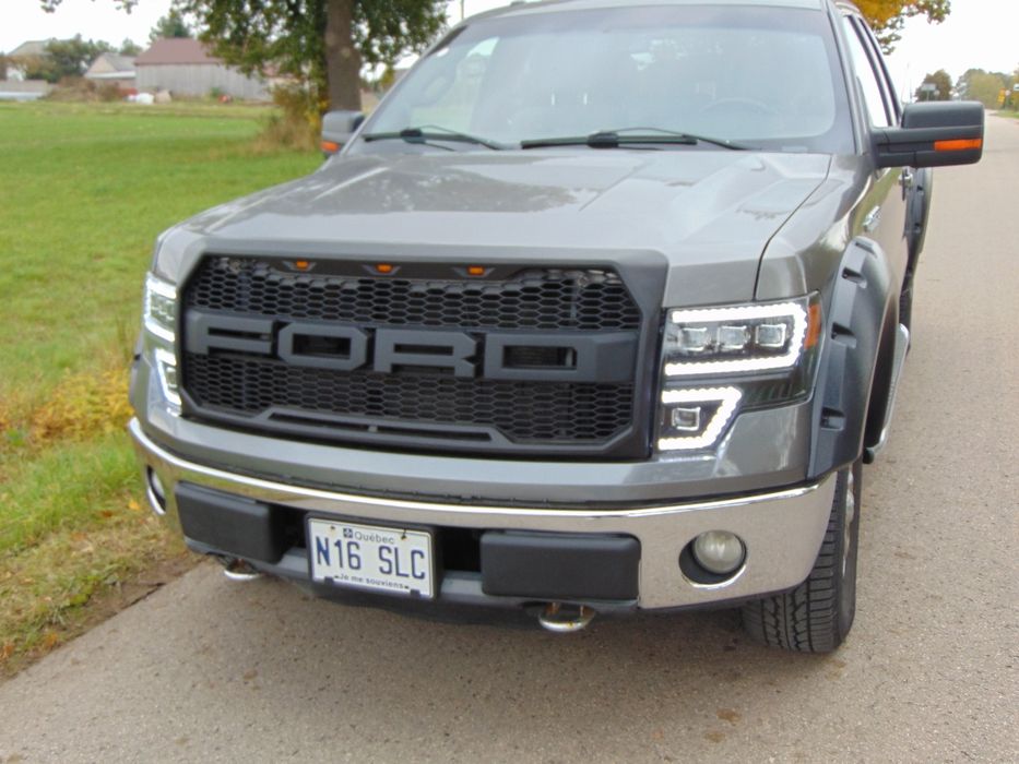 Ford F-150 5.0 V8