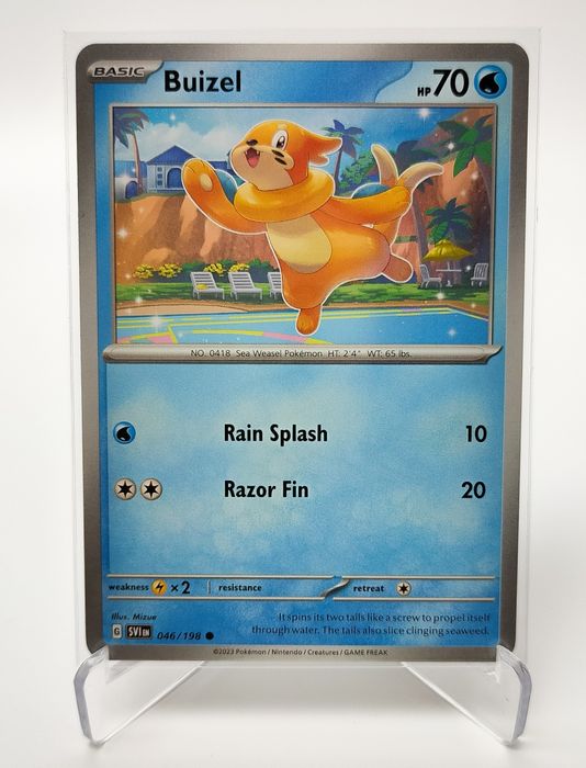 Buizel 046/198 karta pokemon Scarlet & Violet