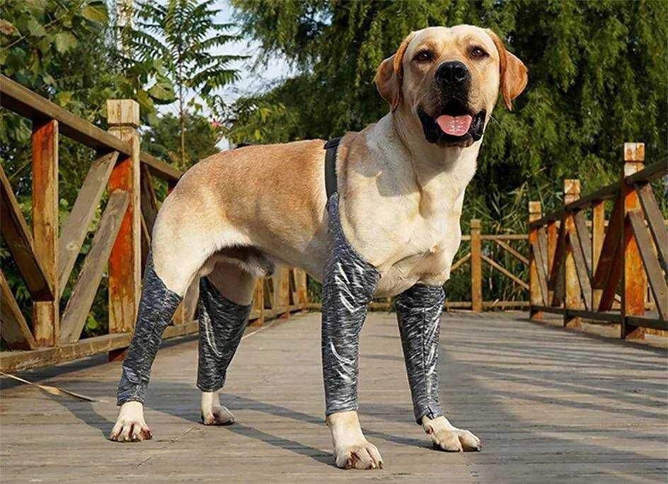 Захисний водостійкий рукав (дощовик) для передніх та задніх лап собаки