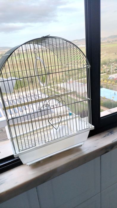 Gaiolas para pássaros