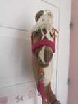 Halter z wodzami dla hobby horse