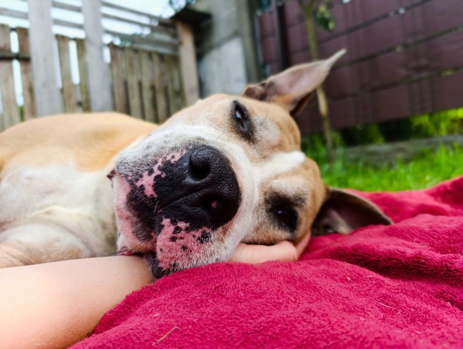 Tak długo czekam na dom