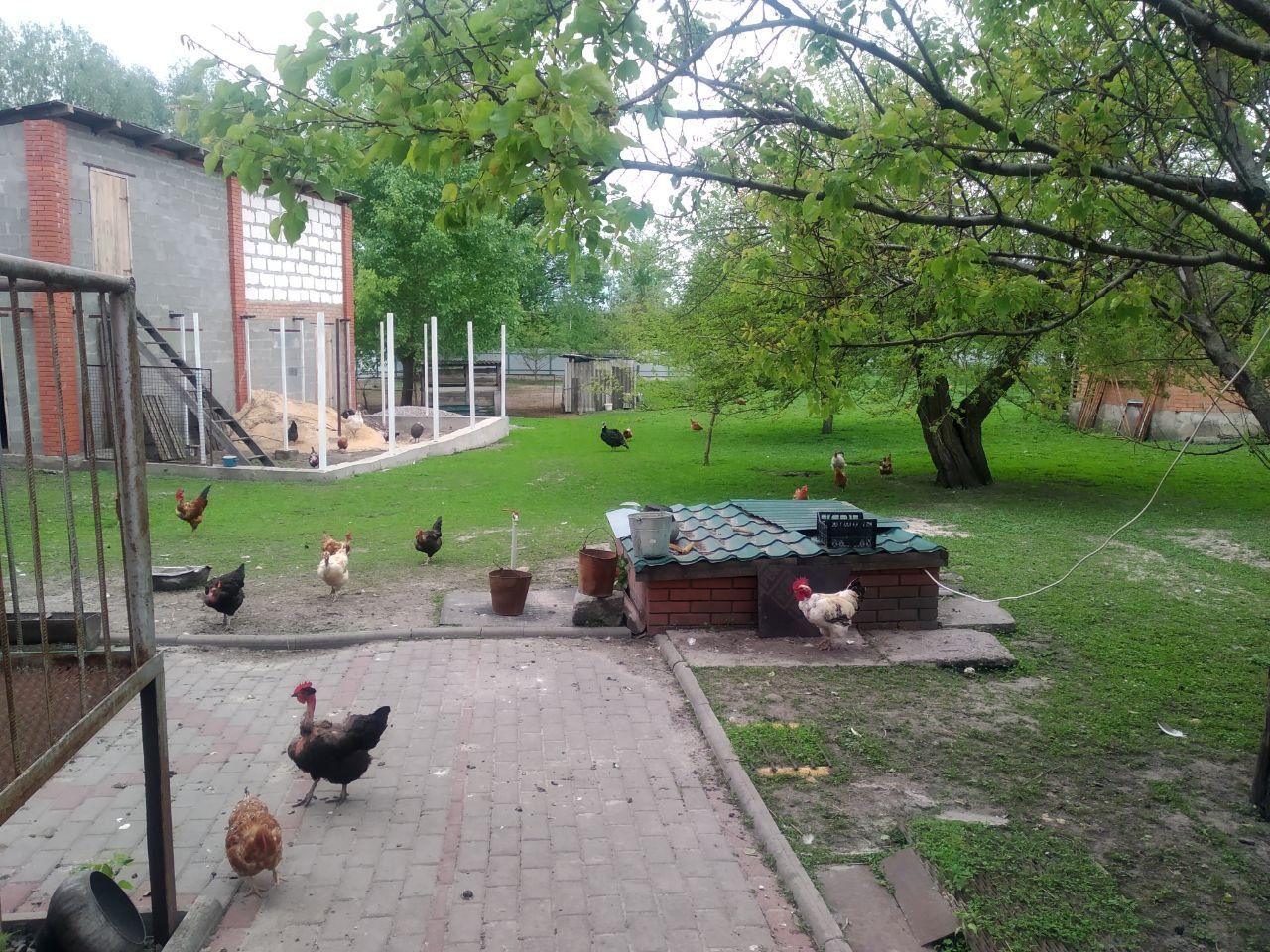 Ділянка 60 соток з будинком