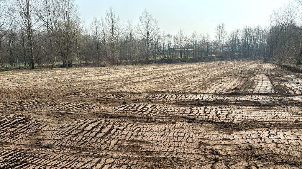 Usługi rekultywacji | mulczer wgłębny| karczowanie | niwelacja