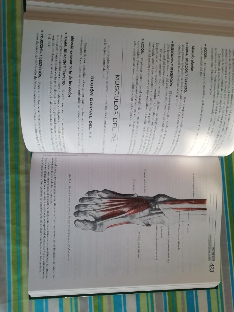 Anatomia Humana de Rouviere e Delmas - volume 3= membros e SNC