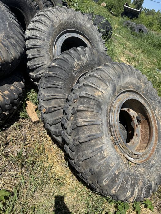 Продам шини з дисками 16.0024 Автогрейдер Навантажувач