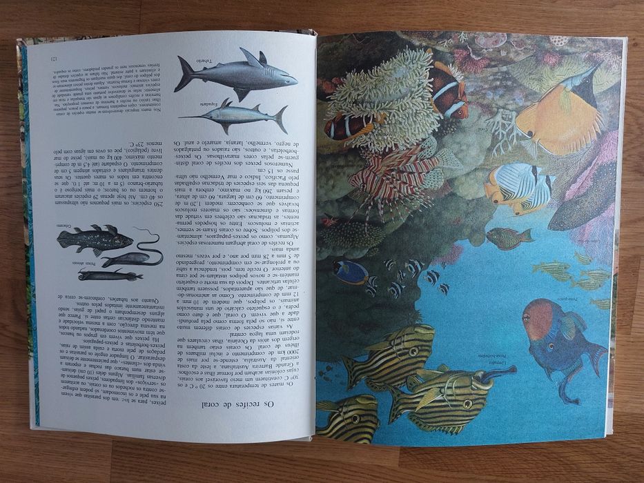 Livro Animais e Plantas de todo o Mundo