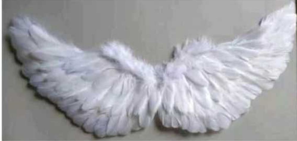 Skrzydla dla anioła dorosłego