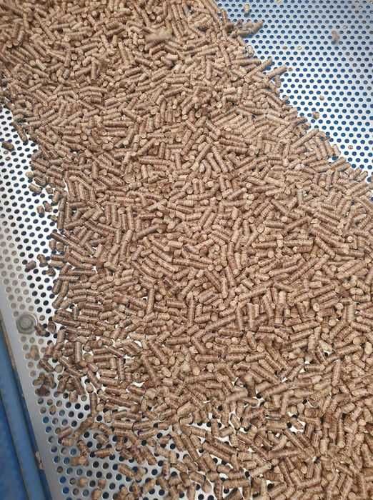 Pellet Dębowo- Sosnowy