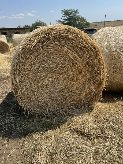 Продам круглые тюки салома