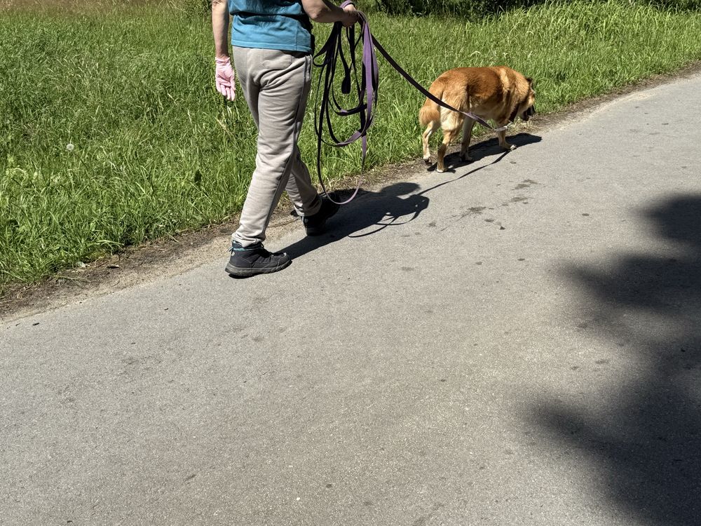 ORI ma dość bezdomności