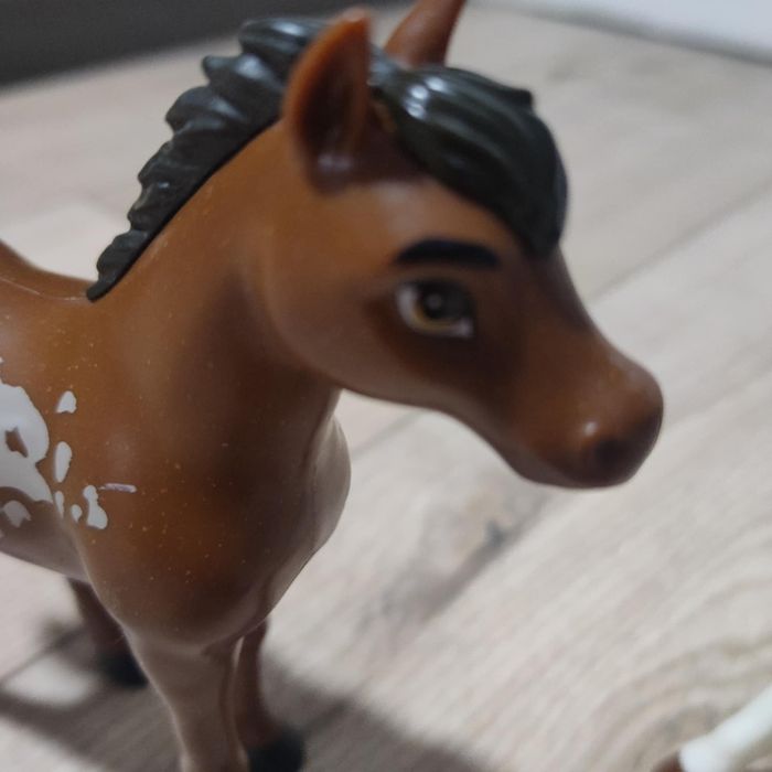 Dwa koniki spirit Mustang duch wolności
