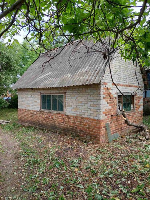 Продам Дом 60 м2 село БОРКИ 6300у.е  рядом Птицефабрика