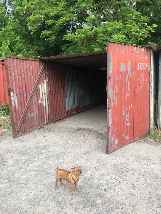 Sprzedam blaszany urzywany garaż Podjuchy Szczecin