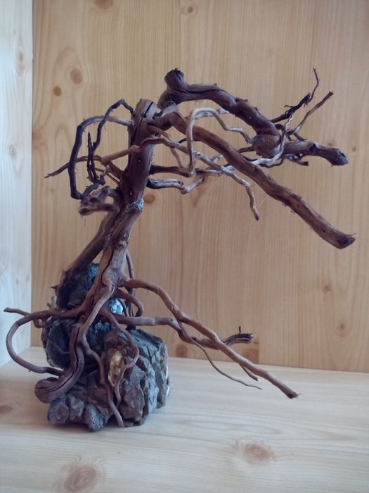 Акваріумний бонсай, акваріумні декорації