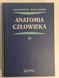 Książka Anatomia człowieka Tom 4 Bochenek, Reicher
