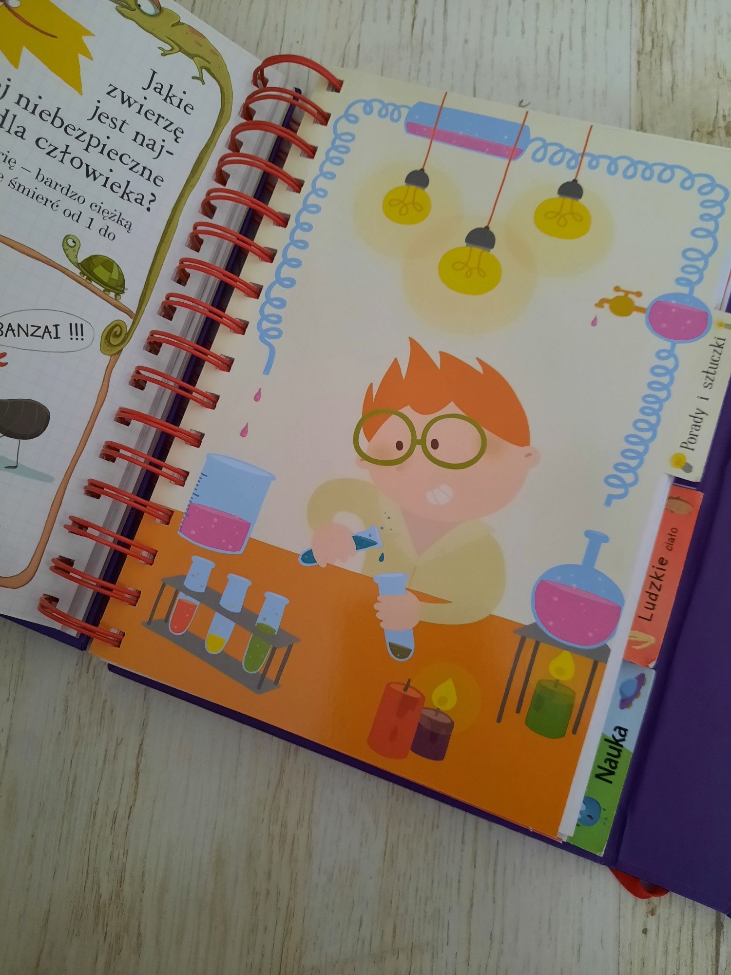Książka To nie do wiary! Książka pełna ciekawostek